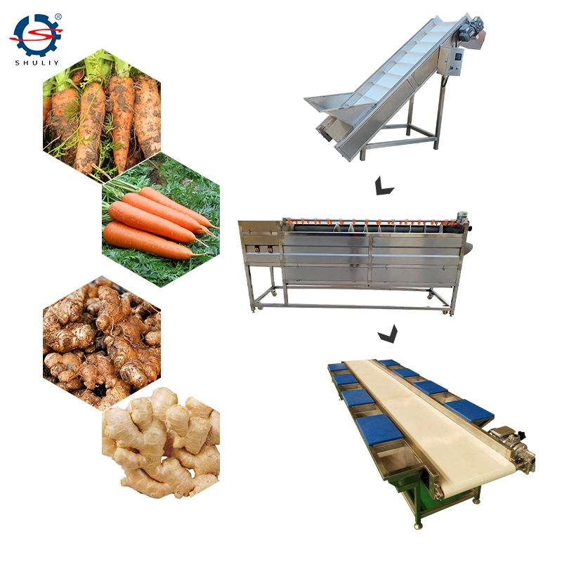 Brush Roller Potato Cleaning and Peeling Washing Processing Machine