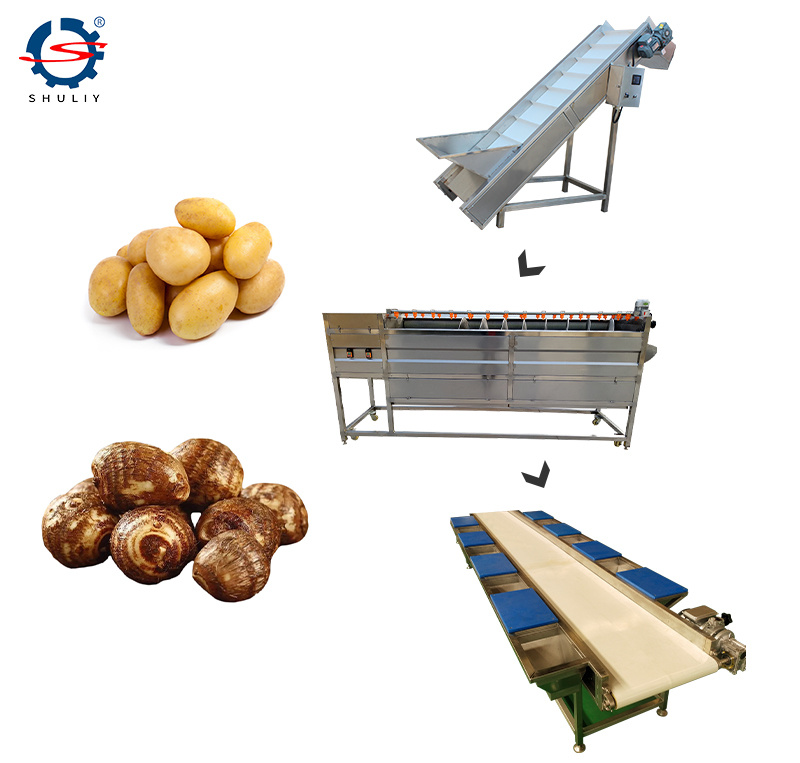 Brush Roller Fish Scale Removing Potato Cleaning Peeling Line Machine