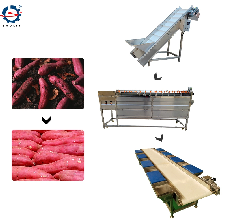 High Effective Brush Roller Potato Peeler Washer Cleaner Machine Line