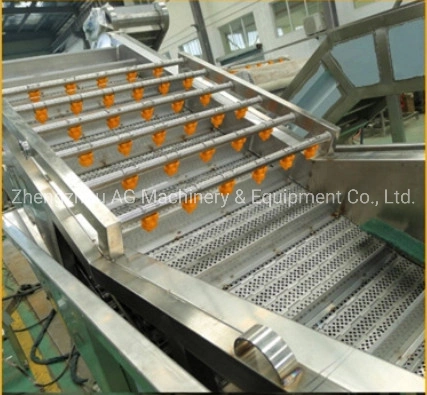 Brush Washing Machine, Vegetable Washer, Fruits Washing Line Equipment