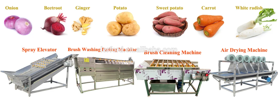 Brush Roller Roots Vegetable Washer Turnip Ginger Potato Cassava Radish Peeling and Washing Machine