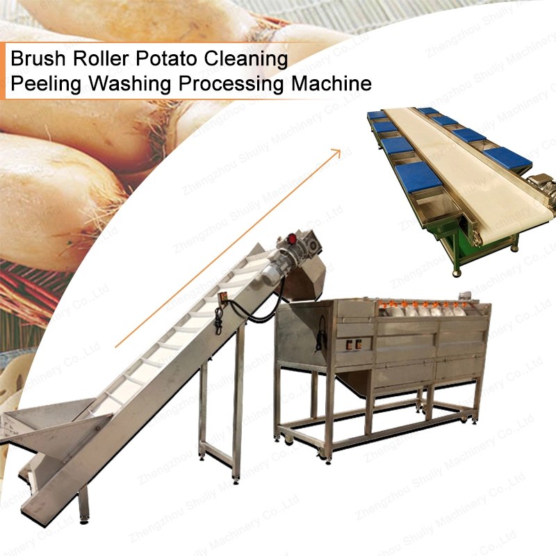 Brush Roller Potato Cleaning and Peeling Washing Processing Machine