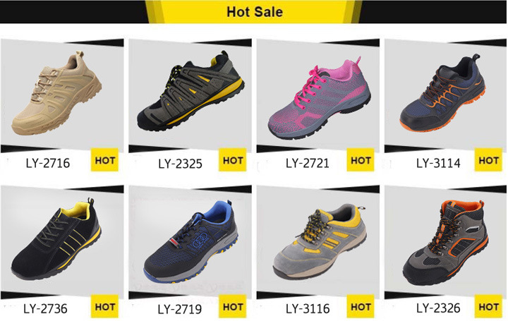 Hot Sale Leather Safety Shoes/Work Shoe/Safety Footwear/Shielding Shoes