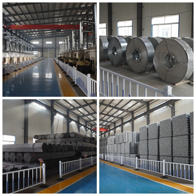 BS1139/En74 Certified Scaffolding Accessories Drop Forged Putlog Coupler