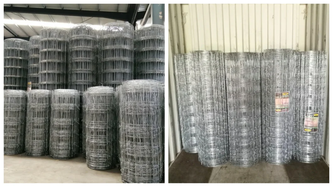 Hot Dipped Galvanized Field Fence Farm Fence Mesh