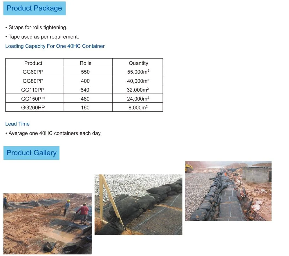 HDPE Uniaxial Plastic Geogrid/ PP Biaxial Geogrid/Two-Way Plastic Geogrid for Earthwork Construction