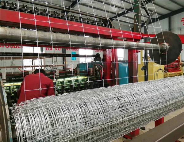 Hot Dipped Galvanized Field Fence Farm Fence Mesh