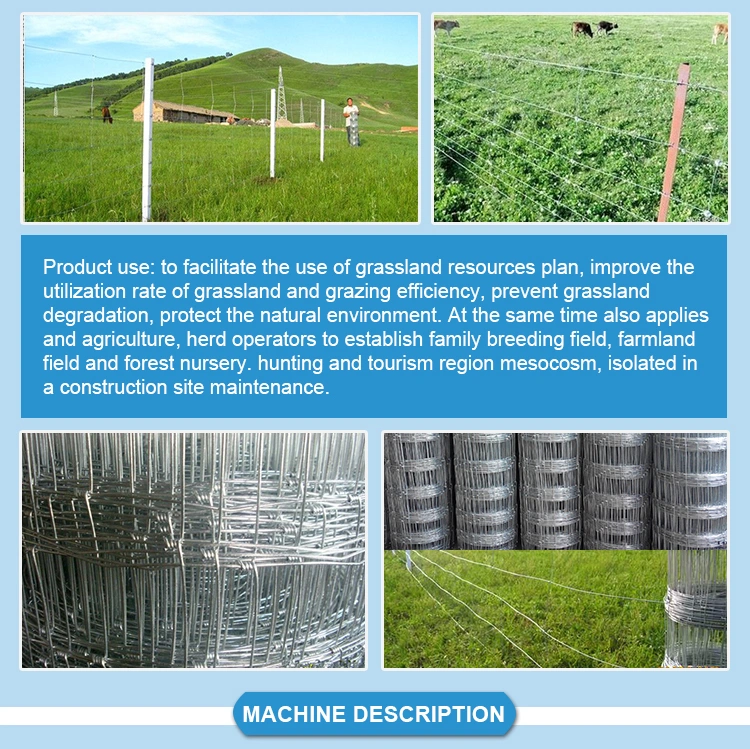 18 Years Factory Grassland Field Fence Wire Mesh Knit Making Machine for Cattle Fence