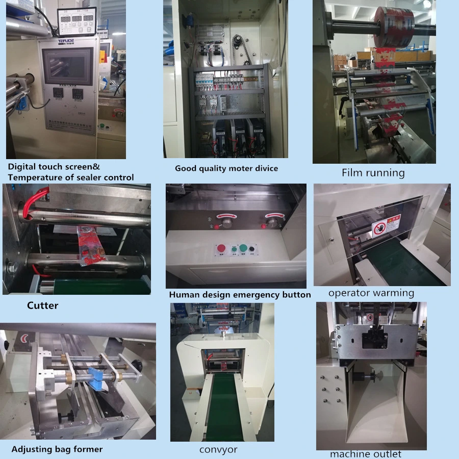 Multi-Functional Automatic Pouch Packing Machine