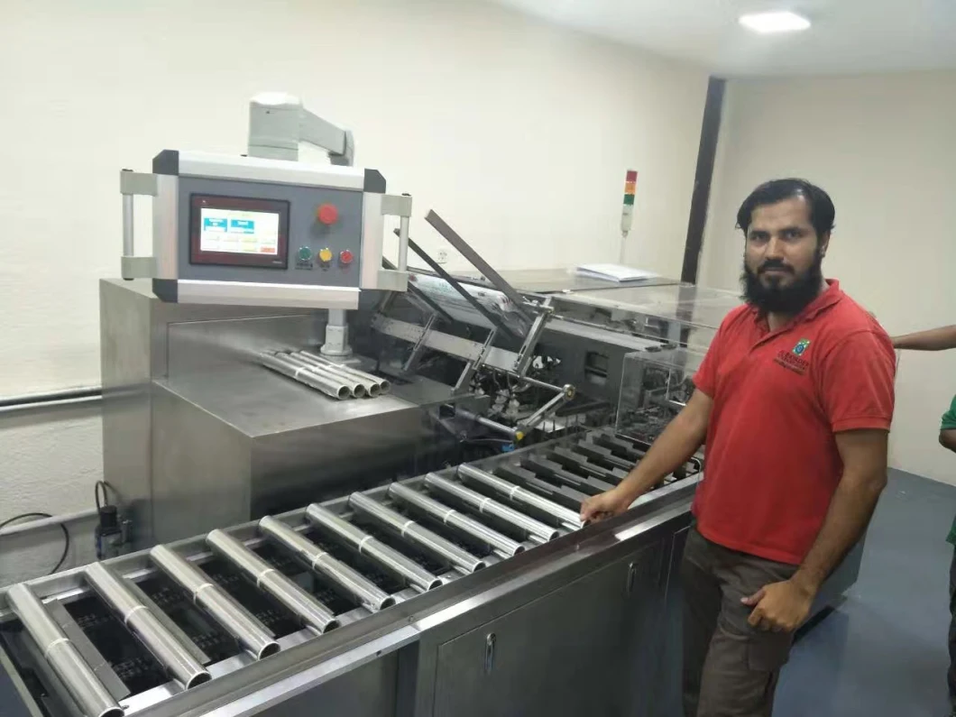 Automatic M-Type Bag Packing Machine for Food/Pet Food/Beef Jerky etc.