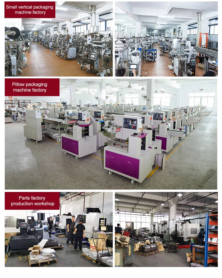 Customize Full Automatic Beef Protein Powder/Flour/Rice Powder/Chill Powder Packing Machine