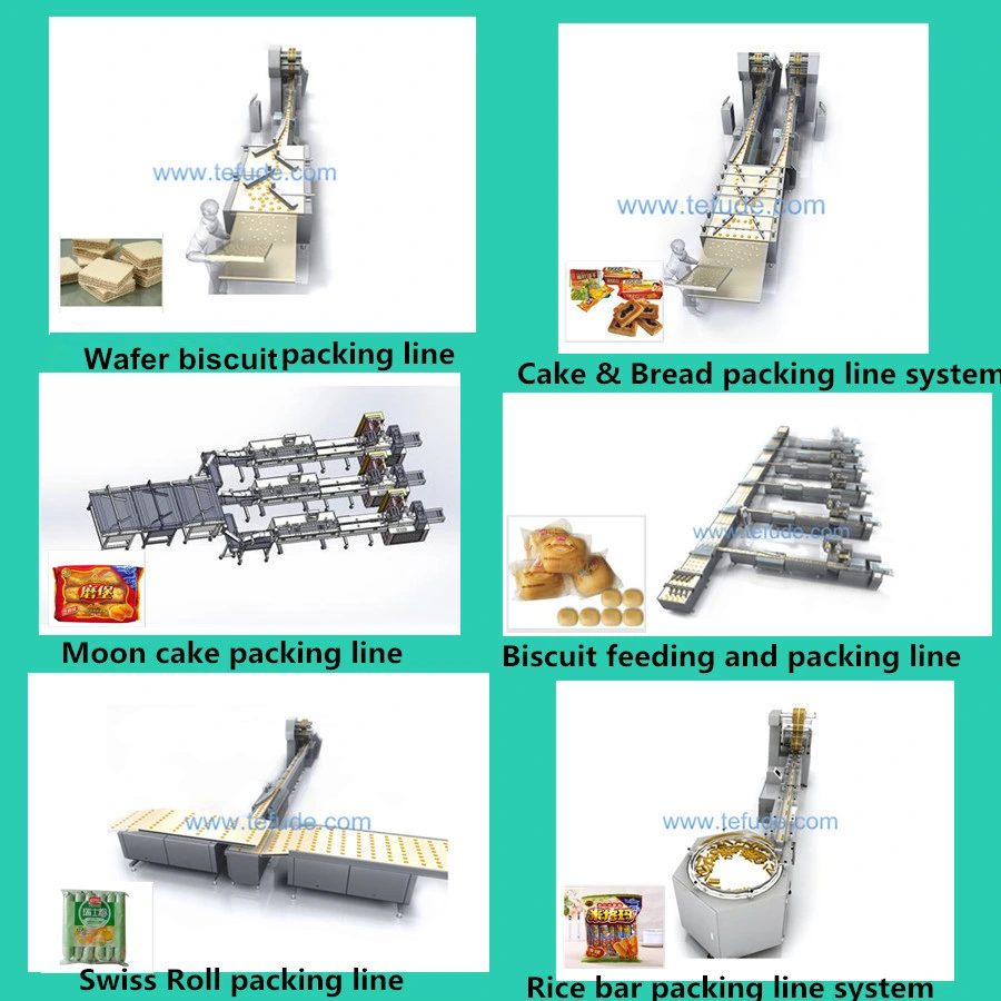 Multi-Functional Automatic Pouch Packing Machine