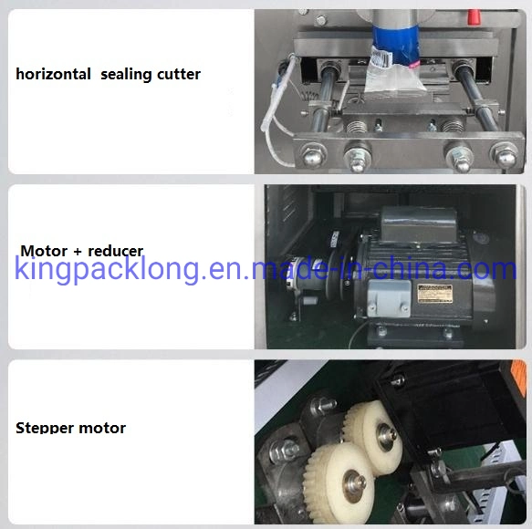 Automatic Food Herb Powder Packing Machine