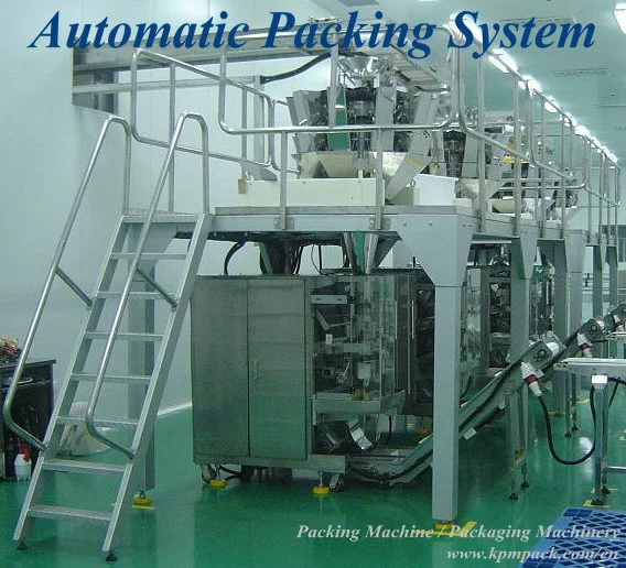 Automatic Food Packing Machines Manufacturer