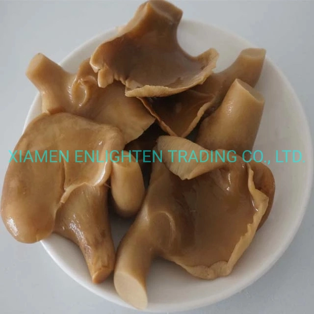 Canned Abalone Mushroom in Brine425g Clear Edible Fresh Water Mushroom with Superior Quality