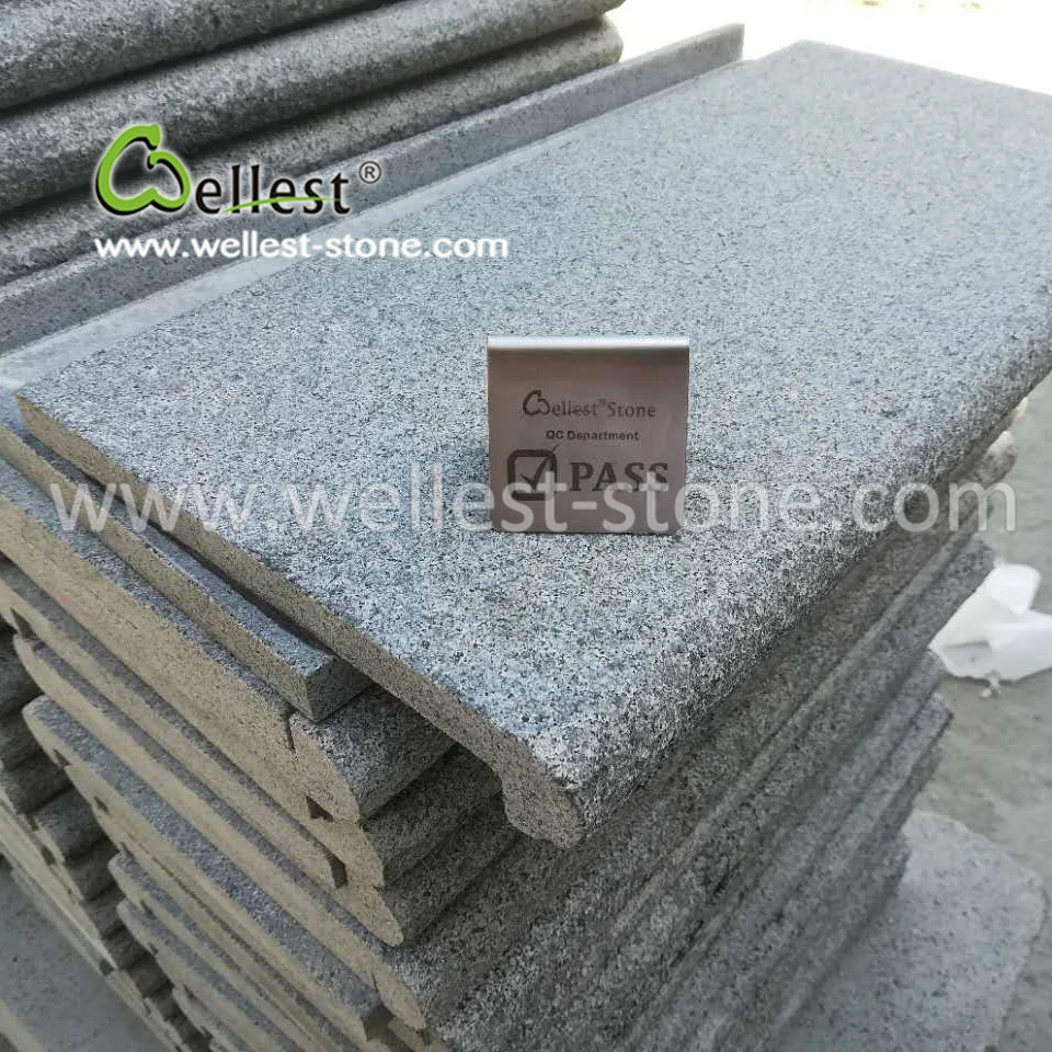 Rough Surface Semicircle Arc-Shaped Edge Dark Grey Swimming Pool Coping Paver