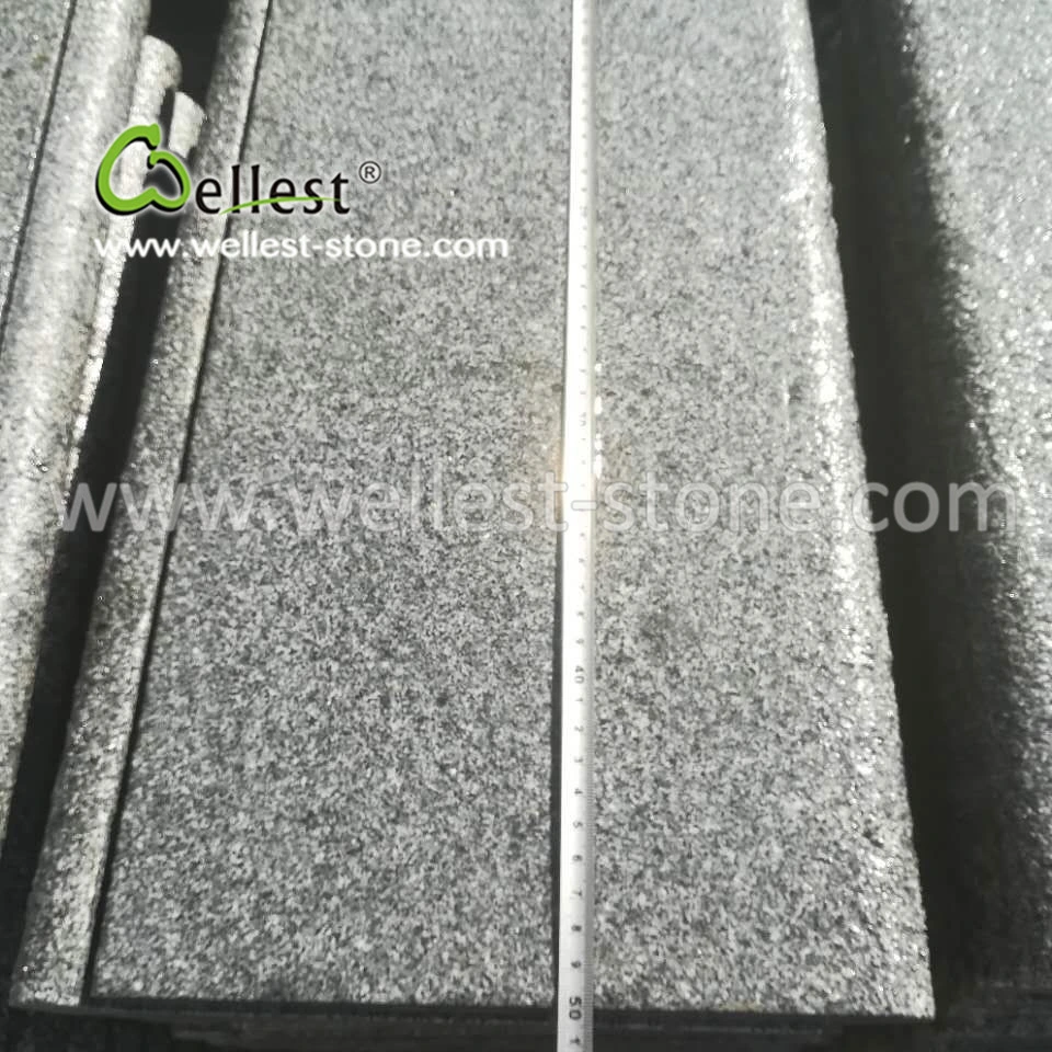Rough Surface Semicircle Arc-Shaped Edge Dark Grey Swimming Pool Coping Paver