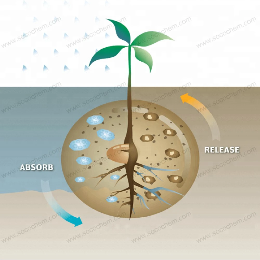 Gel Polymer Water Retention Sap Hydrogel for Plants