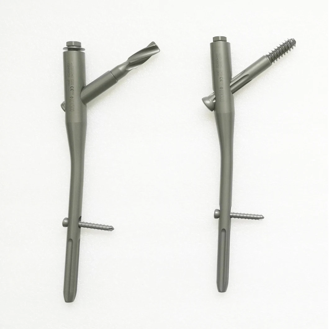 Nail Supplies Proximal Femoral Interlocking Intramedullary Pfna Nail Orthopedic Implant