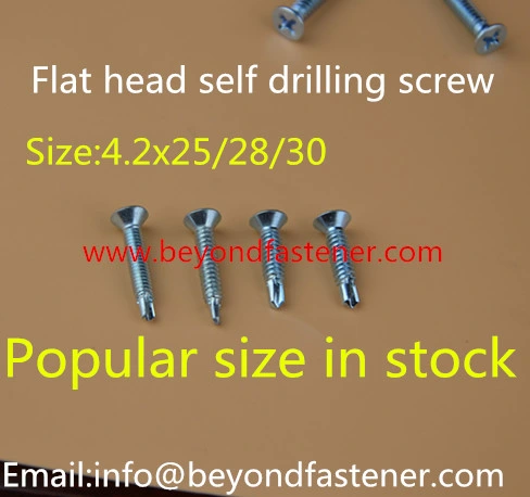 Screw/Self Drilling Screw/Self Tapping Screw/Fasteners/Tek Screw