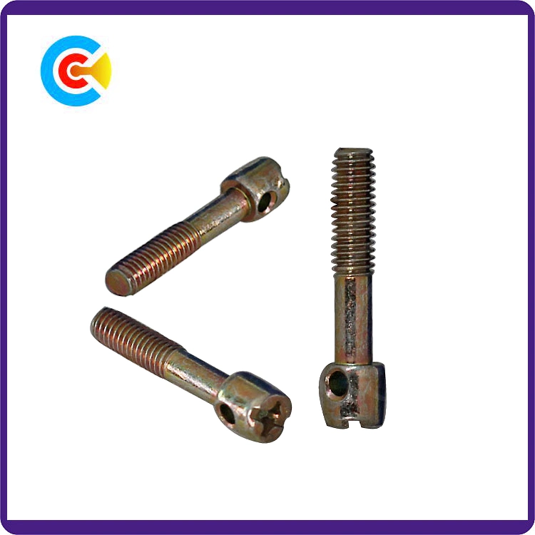 Cylinder Head Shaft Seal Screws Lead Screw Security Screws Pilot Screws