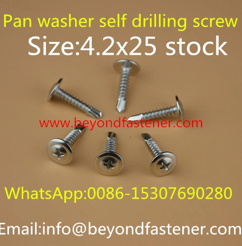 Screw/Self Drilling Screw/Self Tapping Screw/Fasteners/Tek Screw