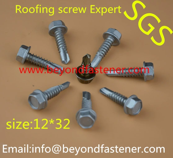 Screw/Self Drilling Screw/Self Tapping Screw/Fasteners/Tek Screw