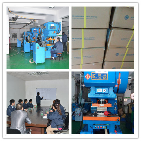 Custom Press Electric Wire End Terminal From China (HS-DZ-0050)