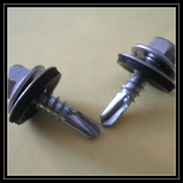 Leite Customized Steel Black Coated Wood Screw Self Tapping Screw Drywall Screw