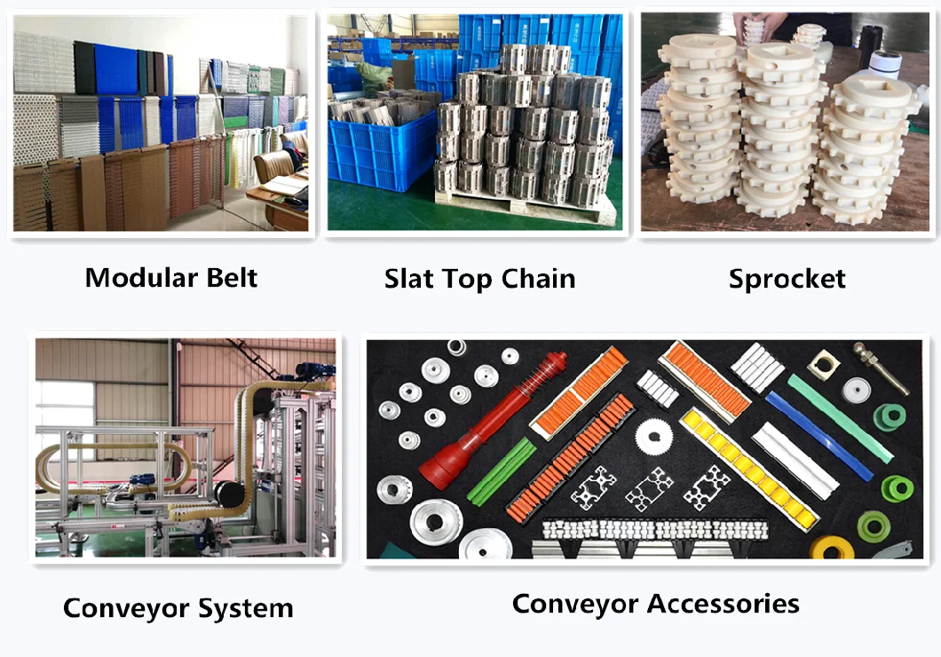 Wear Resisting Conveyor Belting Stainless Steel Material Conveyor System