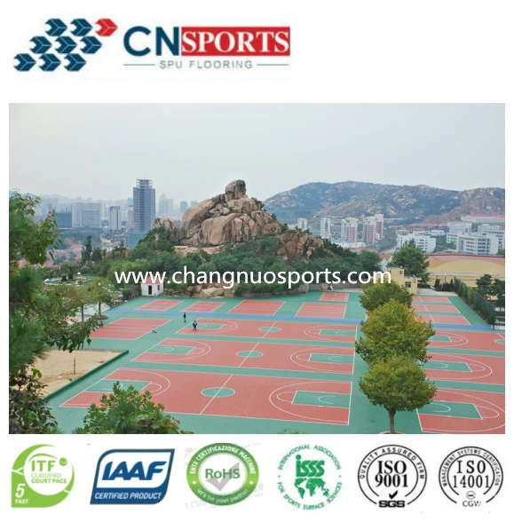 Indoor/Outdoor Multipurpose Sport Court Floor, Gym Floor, Carpet Floor