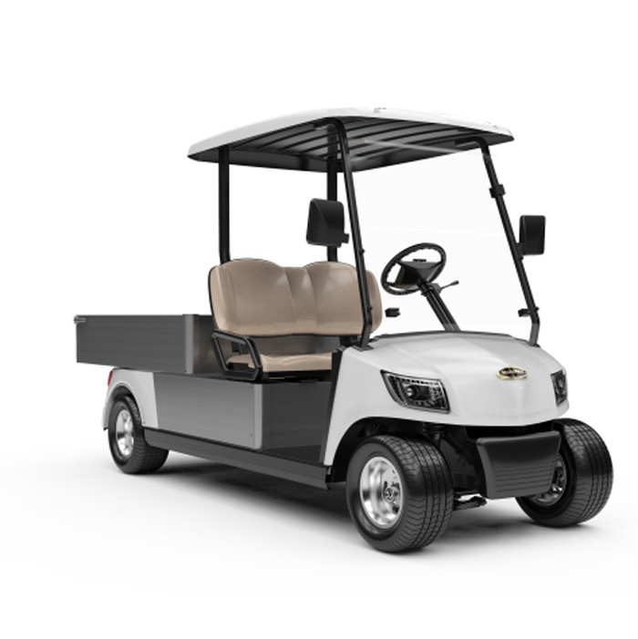 Electric Golf Buggy Golf Car with  Cargo Box (DG-M2 + Cargo box)