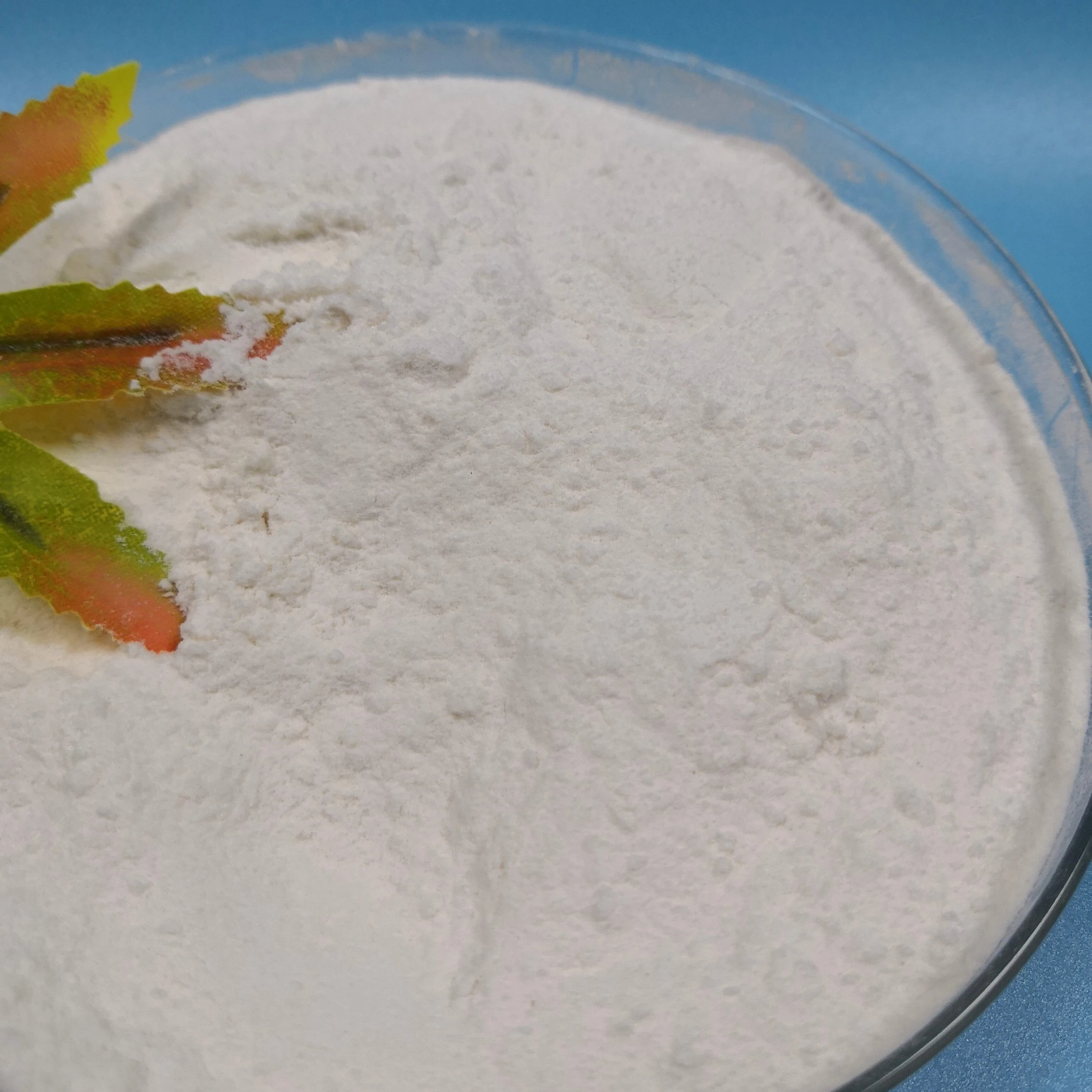 Laboratory Research on Steroid Powders