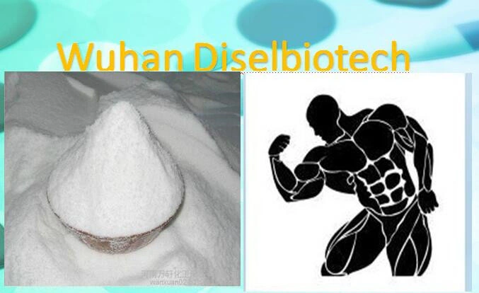 Top Quality Raw Steroids Powder Test Cypion Powder for Body Building