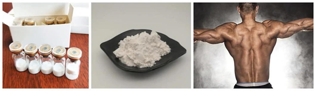 Best Price Anabolic Powder Oral Winny Steroid Raw Powder for Bodybuilding