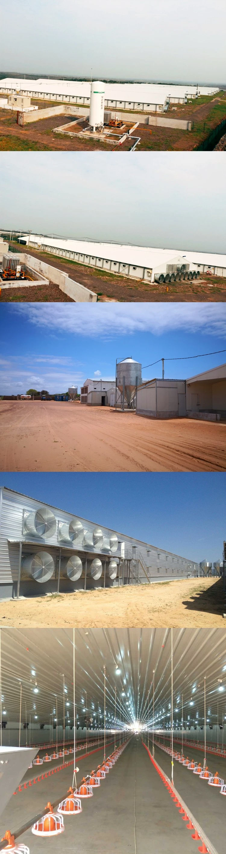 Prefabricated Chicken Farm House Chicken House with Light Steel Structure