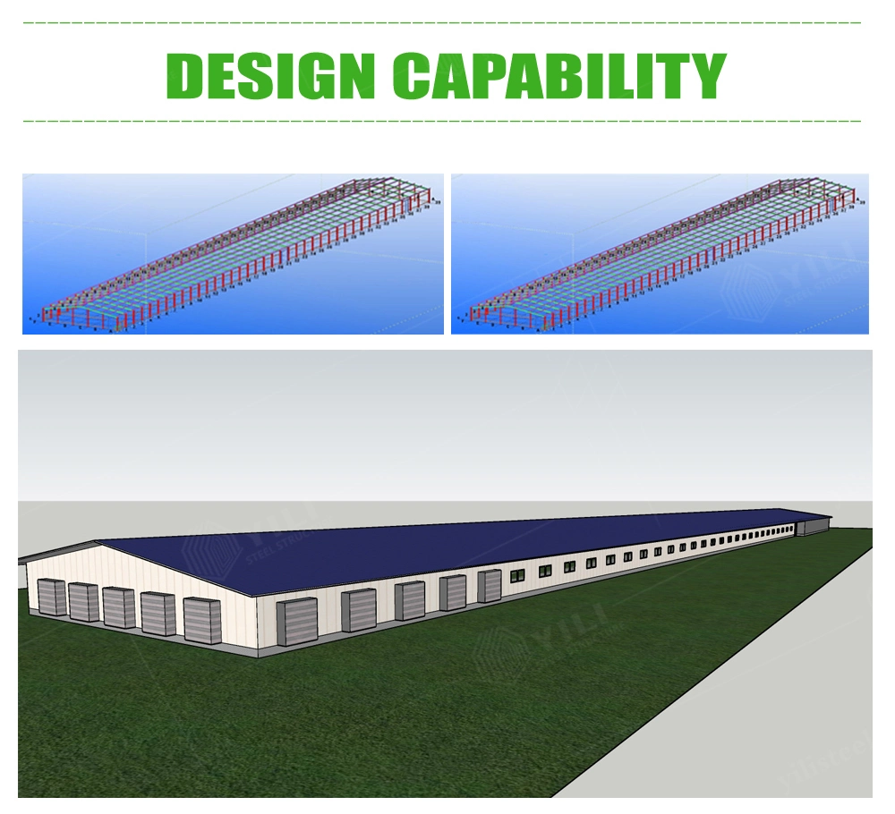 Steel Frame Easily Assembly Chicken Poultry House Chicken Farm