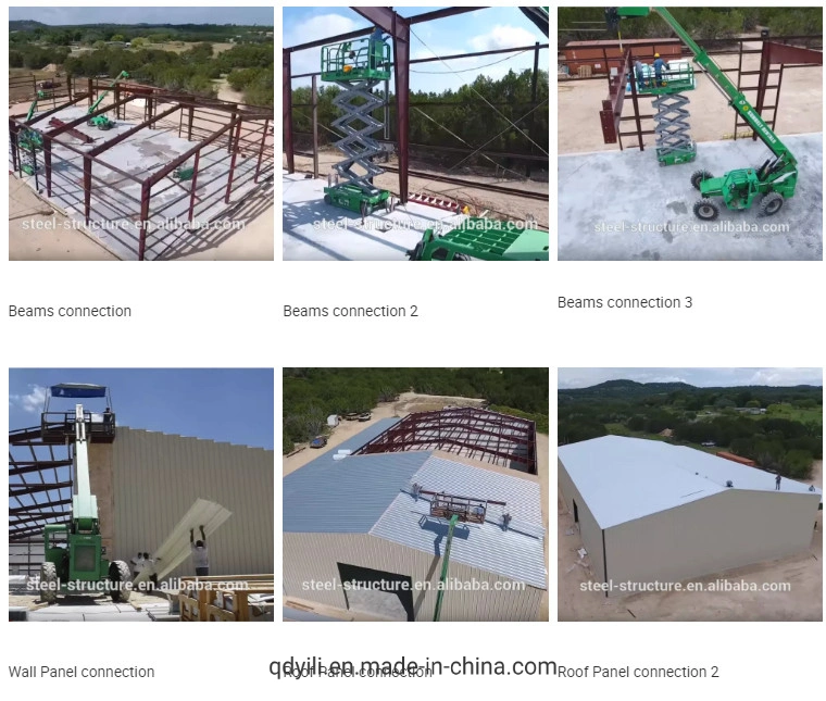 Steel Frame Easily Assembly Chicken Poultry House Chicken Farm