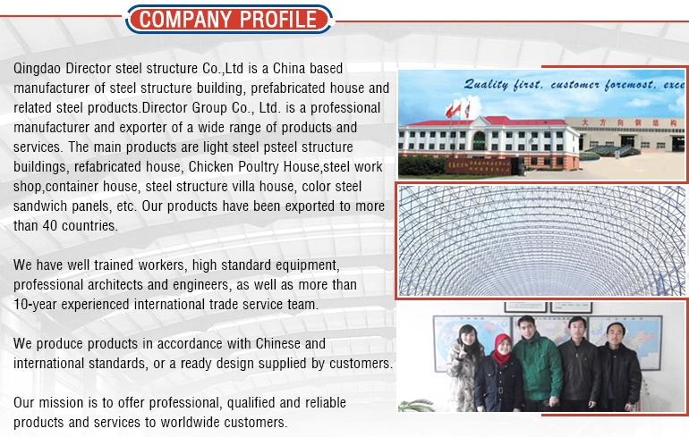 Galvanized Steel Structure Chicken House/ Poultry House Shed