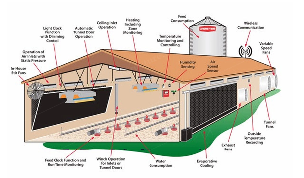 Steel Frame Easily Assembly Chicken Poultry House Chicken Farm