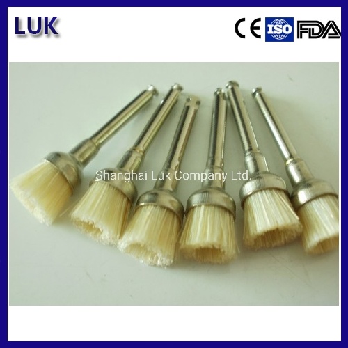 Dental Product White Bristle Dental Polishing Prophy Bowl Brush (PB380)