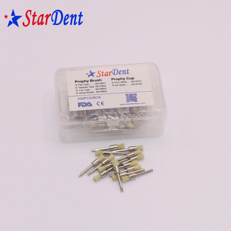 Orthodontic Polishing Material Dental Polishing Brush for Dental Handpieces Used