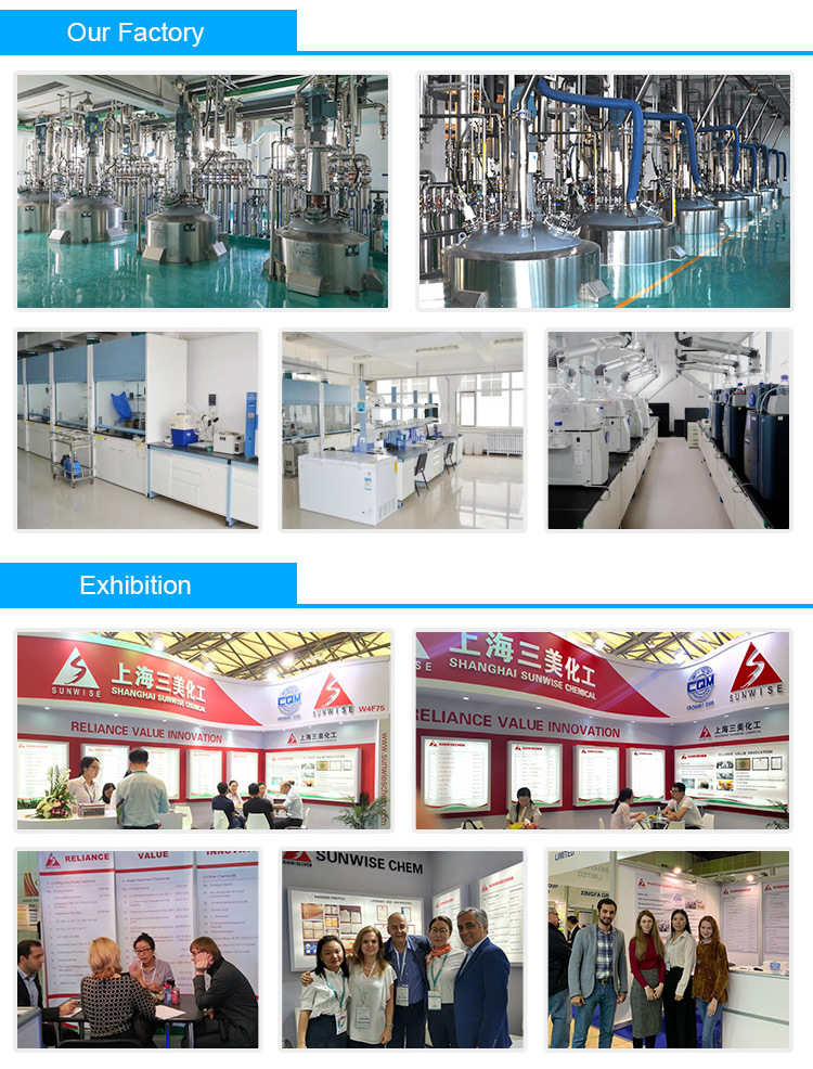 Zirconium Dioxide CAS: 1314-23-4 Zirconium Oxide/Zirconia