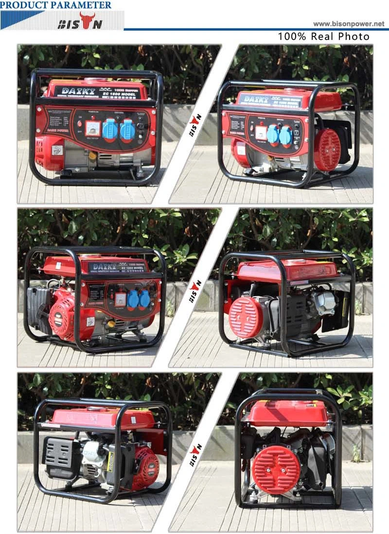 Bison (China) OEM&ODM Chinese Factory Price 1kVA Generator, 1kVA Petrol Generator, 1kw Small Electric Generator