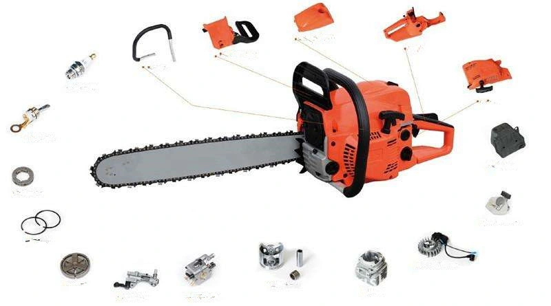 Well Equiped Powerful Gasoline Chain Saw for Cutting Wood for Garden Tools