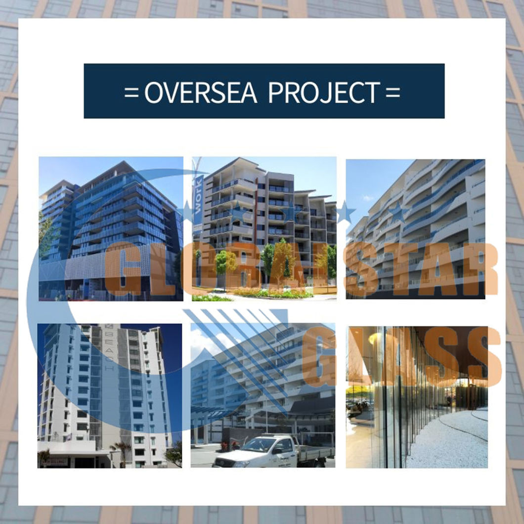 4mm, 5mm, 6mm Frosted Glass/ Glass Door/ Float Glass/ Tempered Glass/ Acid Etched Glass/ Furniture Glass/ Shower Wall Glass/ Bathroom Glass/ Satin Glass