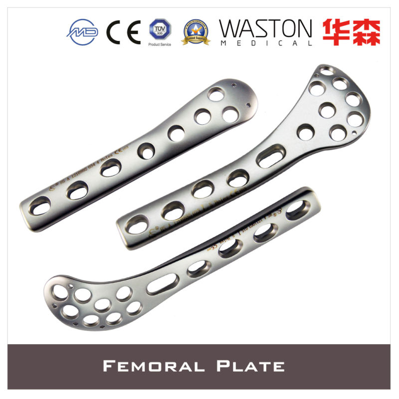 2019 Newest Orthopaedic Plate, Trauma Implant, Locking Plate, Orthopedic Implant