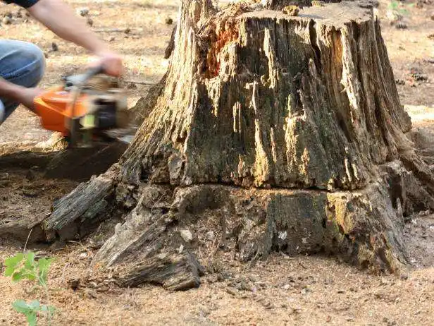 Rotary Cutting, Forestry Log, Wood Stump, Wood Root Chipper Grinder