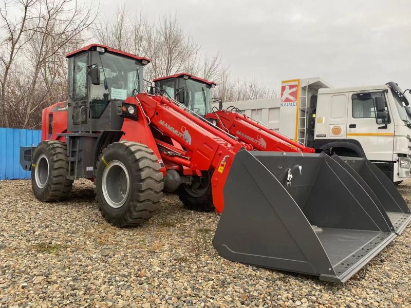 3000kg Machine Telescopic Loader with Yunnei Engine for Ireland