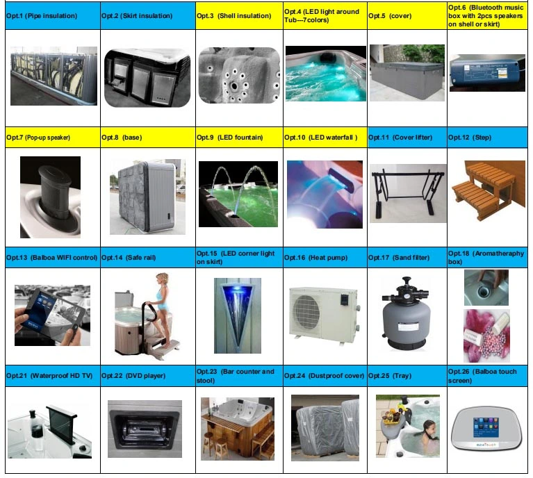 Fashionable Indoor Hot Tub with Heater Filters Heating Element (SR867)